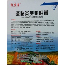 原料*新多粘類(lèi)芽孢桿菌 哪里有提供*好的多粘類(lèi)芽孢桿菌