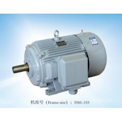 專業(yè)的閥門電機(jī)，哪里可以買到精湛的YE2系列三相異步電動機(jī)