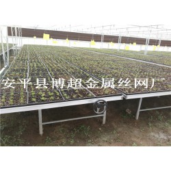 河北全新移動(dòng)苗床，大棚育苗床