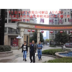 濰坊哪里有提供蔬菜大棚建造，蔬菜大棚