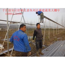 濰坊可靠的蔬菜大棚建造公司，當屬千匯溫室，蔬菜大棚建造
