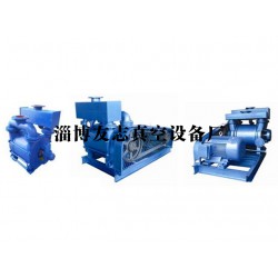 水環(huán)式真空泵供應(yīng)廠家【推*！友志】水環(huán)式真空泵