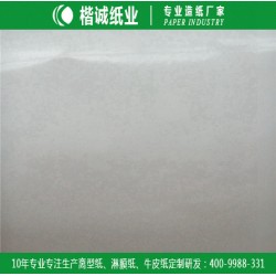 卷筒淋膜紙 楷誠(chéng)靜電吸附淋膜紙廠家
