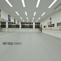 PVC舞蹈專用地膠，PVC專業(yè)舞蹈地膠