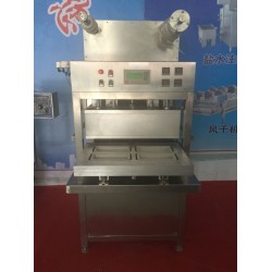 盒式真空包裝機(jī) 氣調(diào)保鮮包裝機(jī) 真空包裝機(jī)廠家