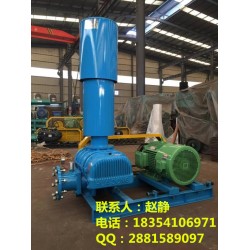 【 污水曝氣風(fēng)機(jī)、污水曝氣鼓風(fēng)機(jī)選型、北京曝氣鼓風(fēng)機(jī)廠家】