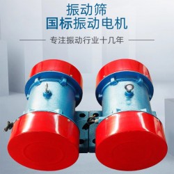 銅線振動篩振動電機(jī)